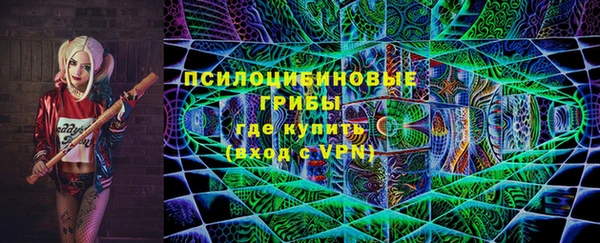хмурый Краснослободск