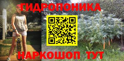 гидра Гатчина