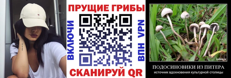 Псилоцибиновые грибы мухоморы  хочу   Волгодонск 
