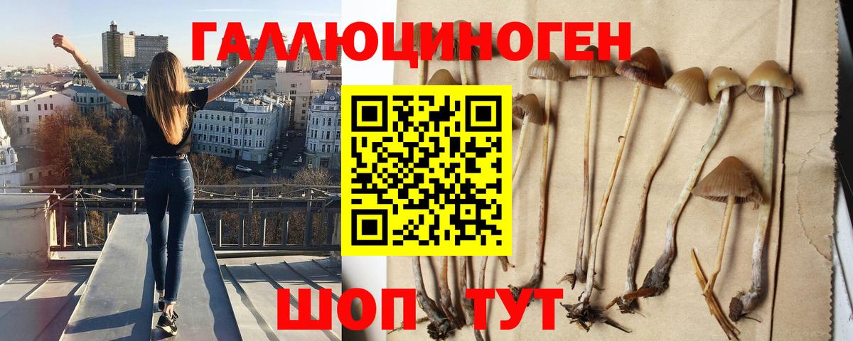 Волгодонск  Галлюциногенные грибы MAGIC MUSHROOMS  Вход с VPN 