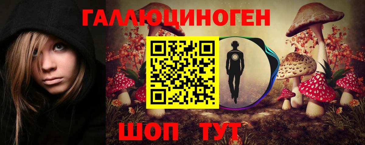 Псилоцибиновые грибы MAGIC MUSHROOMS  Волгодонск  Псилоцибиновые грибы Cubensis 